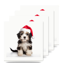 Tibetan Terrier Puppy ceramic coasters set of 4
