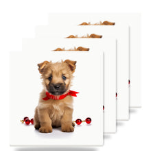 Norwich Terrier Puppy ceramic coasters set of 4