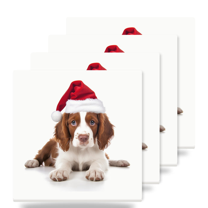 Irish Red and White Setter Puppy ceramic coasters set of 4
