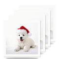 Samoyed Puppy ceramic coasters set of 4