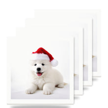 Samoyed Puppy ceramic coasters set of 4