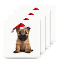 Cairn Terrier Puppy ceramic coasters set of 4