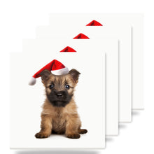 Cairn Terrier Puppy ceramic coasters set of 4