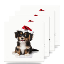 Belgian Laekenois Puppy ceramic coasters set of 4