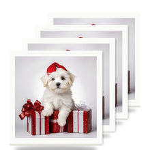 Coton de Tulear Puppy ceramic coasters set of 4