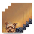 Yorkshire Terrier Portrait ceramic coasters set of 4