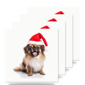 Tibetan Spaniel ceramic coasters set of 4