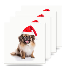 Tibetan Spaniel ceramic coasters set of 4