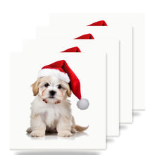 Pumik Puppy ceramic coasters set of 4