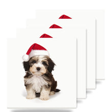 Havanese Puppy ceramic coasters set of 4