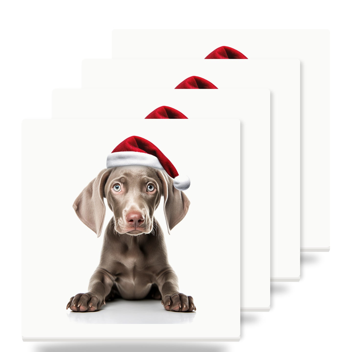 Weimaraner Puppy ceramic coasters set of 4