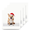 Norwegian Lundehund ceramic coasters set of 4