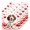 Havanese ceramic coasters set of 4