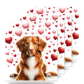 Nova Scotia Duck Tolling Retriever ceramic coasters set of 4