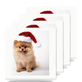 Pomeranian Puppy ceramic coasters set of 4