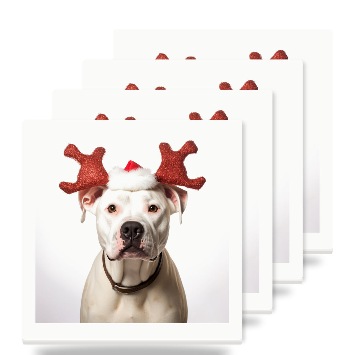 Dogo Argentino ceramic coasters set of 4