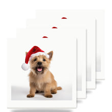 Norwich Terrier ceramic coasters set of 4