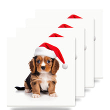 Cavalier King Charles Spaniel Puppy ceramic coasters set of 4