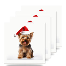 Silky Terrier ceramic coasters set of 4