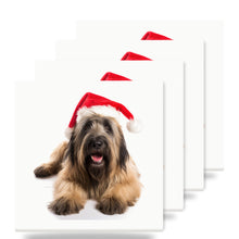 Briard ceramic coasters set of 4