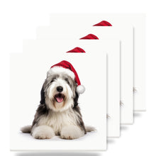 Old English Sheepdog ceramic coasters set of 4