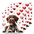 Wirehaired Pointing Griffon ceramic coasters set of 4
