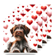 Wirehaired Pointing Griffon ceramic coasters set of 4