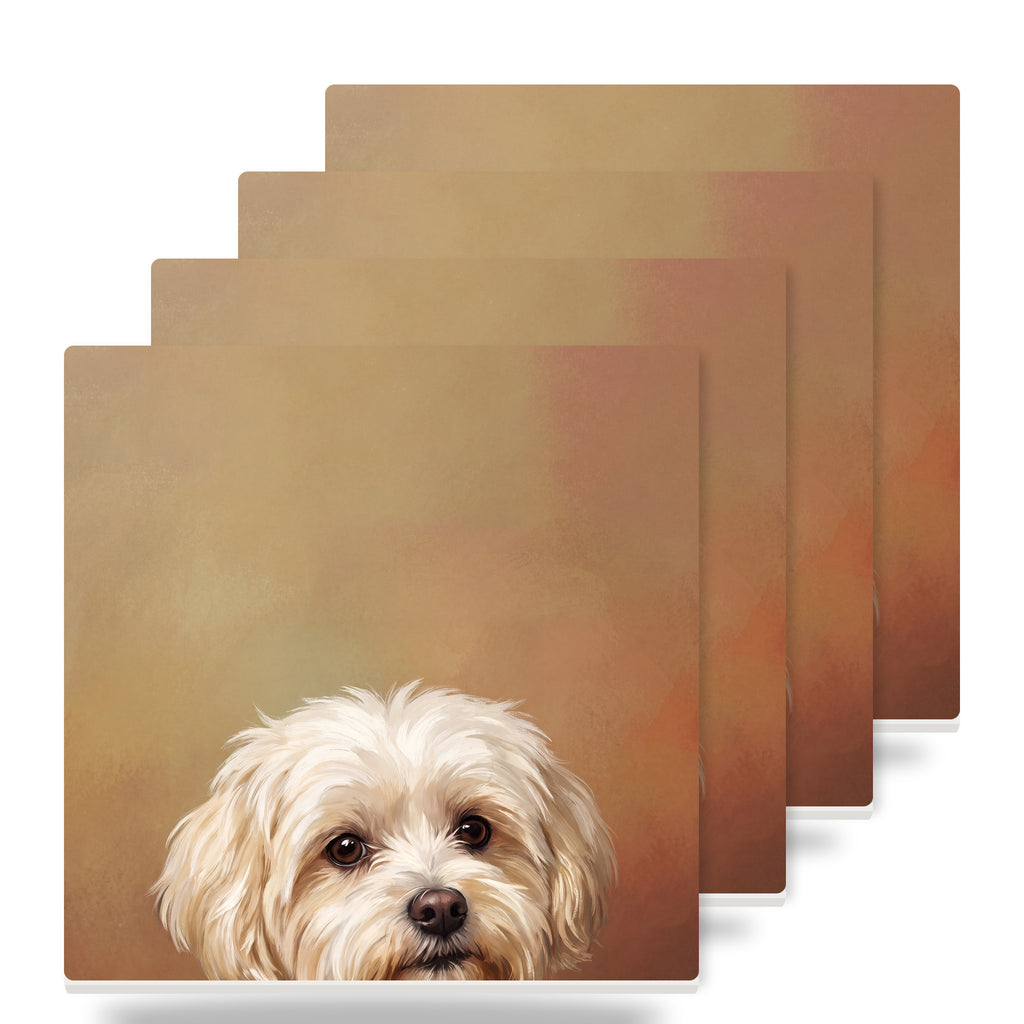 Maltese Portrait ceramic coasters set of 4