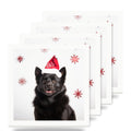 Schipperke ceramic coasters set of 4