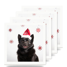 Schipperke ceramic coasters set of 4
