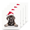 Great Dane Puppy ceramic coasters set of 4