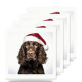 American Water Spaniel ceramic coasters set of 4