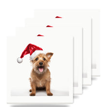 Australian Terrier ceramic coasters set of 4