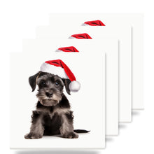 Cesky Terrier Puppy ceramic coasters set of 4