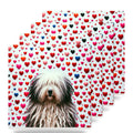 Bergamasco Sheepdog ceramic coasters set of 4