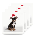 Toy Fox Terrier Puppy ceramic coasters set of 4