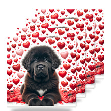 Newfoundland ceramic coasters set of 4