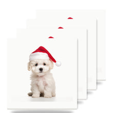 Bichon Frise Puppy ceramic coasters set of 4