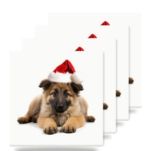 Belgian Tervuren Puppy ceramic coasters set of 4