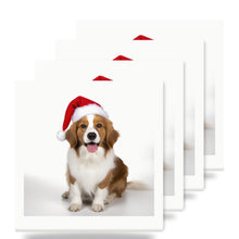 Kooikerhondje ceramic coasters set of 4
