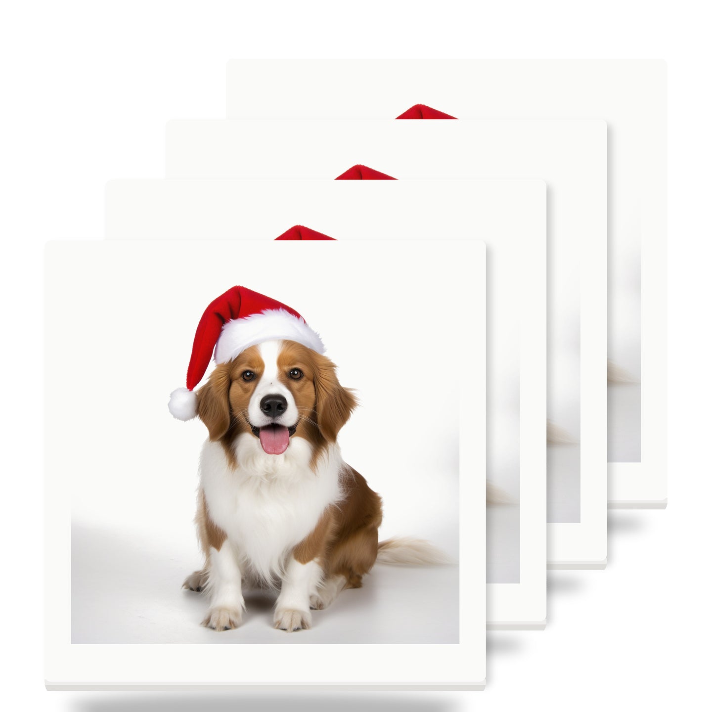 Kooikerhondje ceramic coasters set of 4