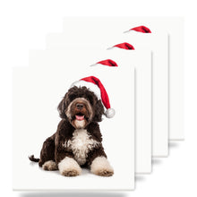 Spanish Water Dog ceramic coasters set of 4