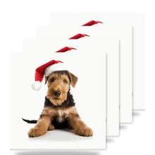 Airedale Terrier Puppy ceramic coasters set of 4