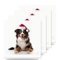 Miniature American Shepherd ceramic coasters set of 4