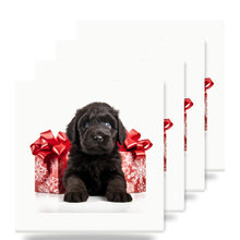 Black Russian Terrier Puppy ceramic coasters set of 4