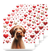 Wirehaired Vizsla ceramic coasters set of 4