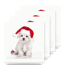 Maltese Puppy ceramic coasters set of 4