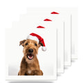 Irish Terrier ceramic coasters set of 4