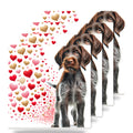 German Wirehaired Pointer ceramic coasters set of 4