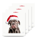Neapolitan Mastiff ceramic coasters set of 4